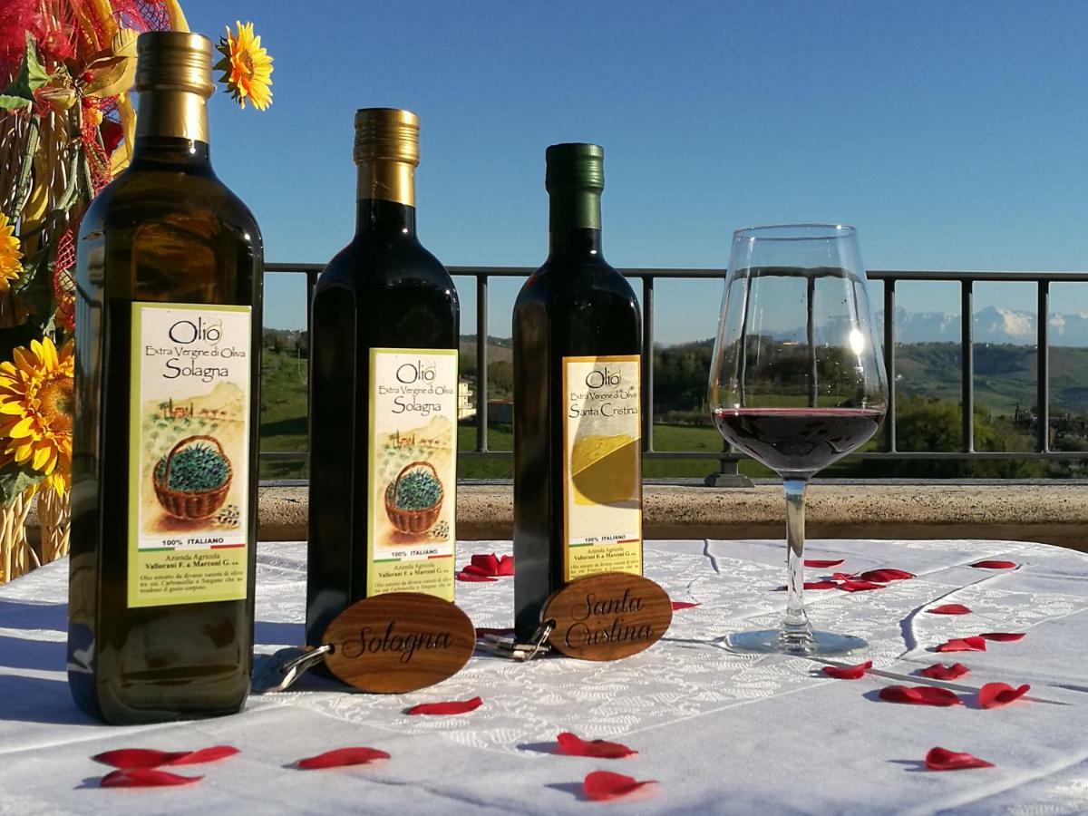 Agriturismo Alla Solagna Colli del Tronto Kültér fotó